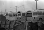 Retired AC Transit buses 1228, 2000 series and former Long Beach 7022 with engine removed in August 1978.