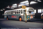 AC Transit bus number 1833 in one of the test color schemes shortly after service began.