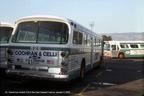 AC Transit bus 528 at East Oakland Yard in January 1979.