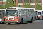 AC Transit bus number 903