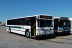 AC Transit bus number 806